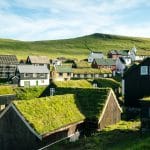 ¿Qué son los green roofs o cubiertas verdes?