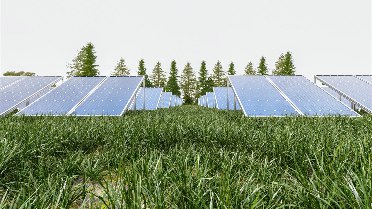 Un huerto solar es un terreno en el que se disponen de manera conjunta placas fotovoltaicas comunitarias para producir su propia electricidad gracias a la energía solar