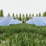 Grandes empresas se enfocan en construir huertos solares.
